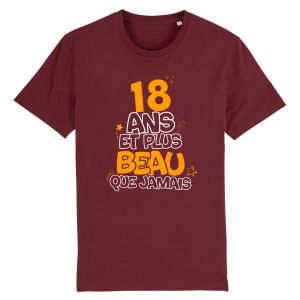 tee-shirt 18 ans pour beau gosse 3 tee shirt 18 ans pour beau gosse 4