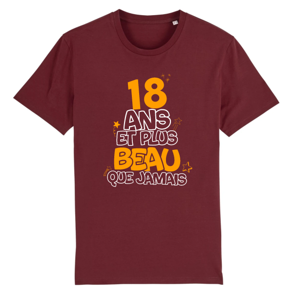 tee-shirt 18 ans pour beau gosse