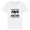tee-shirt papa et beau papa idee cadeau beau-pere