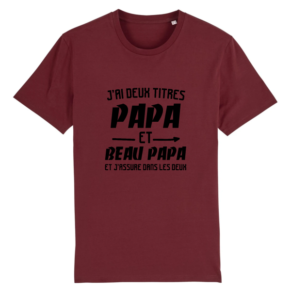 tee-shirt papa et beau papa idee cadeau beau-pere