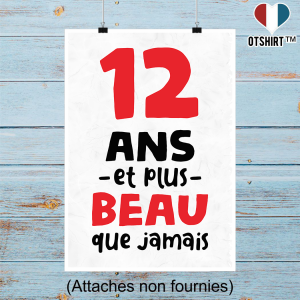 Affiche 12 ans et plus beau Affiche 12 ans et plus beau