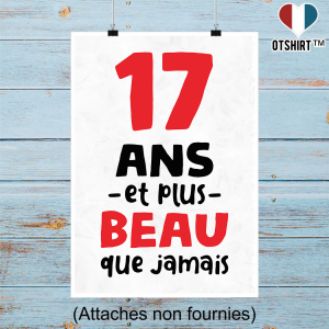 Affiche 17 ans et plus beau Affiche 17 ans et plus beau