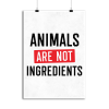 Affiche animals are not