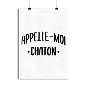 Affiche appelle moi chaton Affiche appelle moi chaton