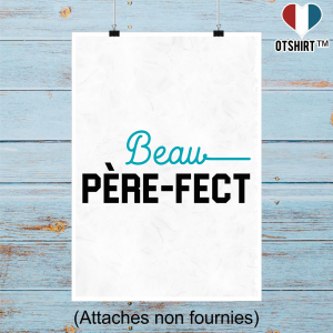 Affiche beau pere fect 2