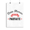 Affiche belle maman plus que parfaite