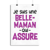 Affiche belle maman qui assure