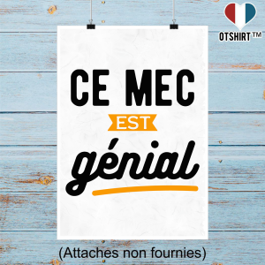 Affiche ce mec est genial 2