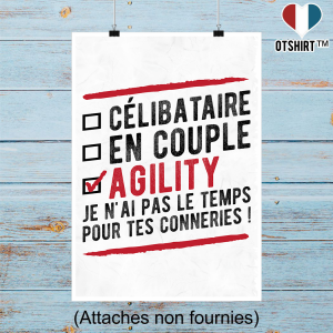 Affiche celibataire en couple agility 2