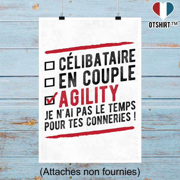 Affiche celibataire en couple agility