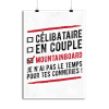 Affiche celibataire en couple mountainboard