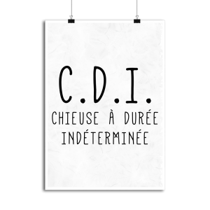 Affiche chieuse indeterminee Affiche chieuse indeterminee