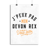 Affiche j peux pas devon rex