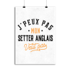 Affiche j peux pas setter anglais