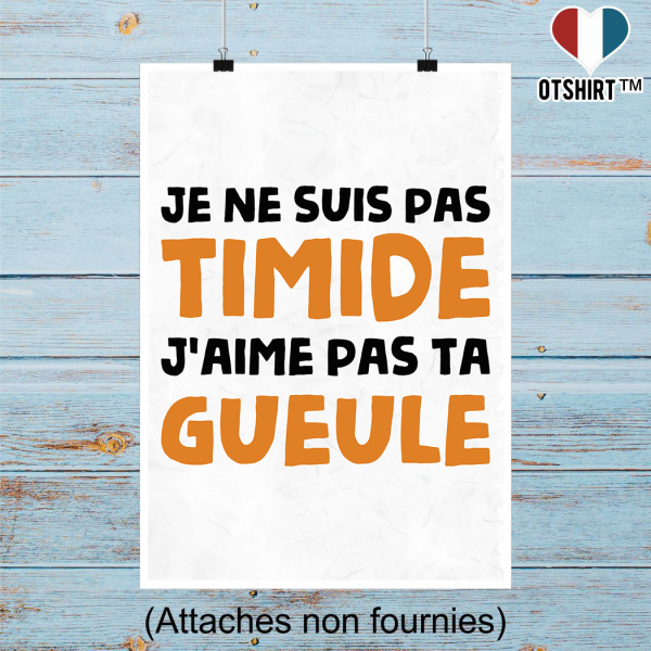 Affiche je ne suis pas timide