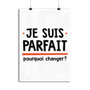 Affiche je suis parfait Affiche je suis parfait