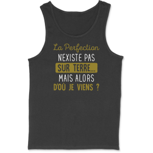 Debardeur homme la perfection n’existe pas Debardeur homme la perfection n’existe pas