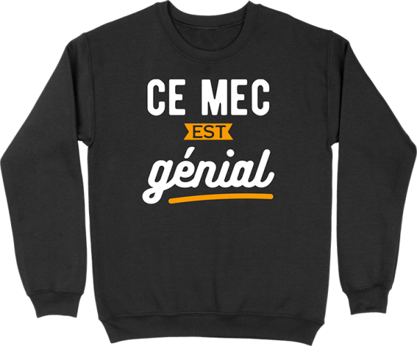 Pull homme ce mec est genial