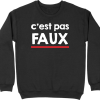 Pull homme c&rsquo;est pas faux