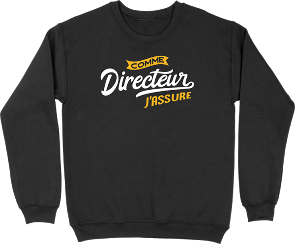 Pull homme comme directeur j’assure