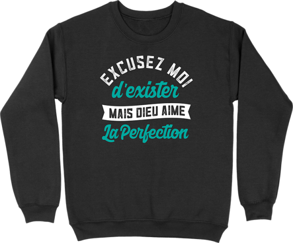 Pull homme dieu aime la perfection