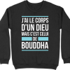 Pull homme j&rsquo;ai le corps d&rsquo;un dieu