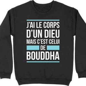 Pull homme j’ai le corps d’un dieu Pull homme j’ai le corps d’un dieu