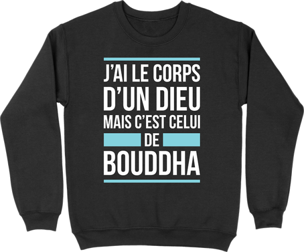 Pull homme j’ai le corps d’un dieu