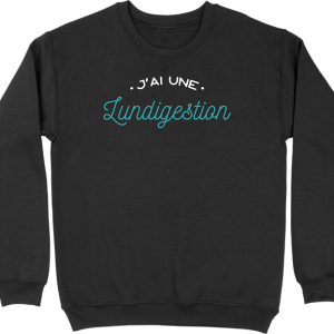 Pull homme j’ai une lundigestion Pull homme j’ai une lundigestion