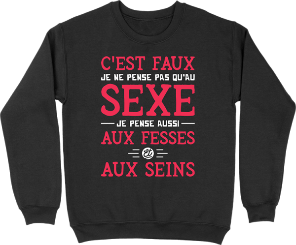 Pull homme je ne pense pas qu’au sexe