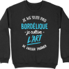 Pull homme je ne suis pas bordelique