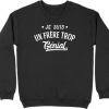 Pull homme je suis un frere trop genial