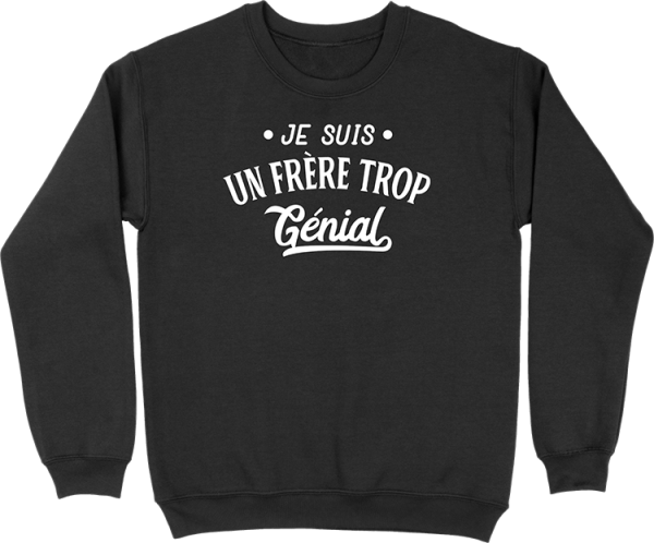 Pull homme je suis un frere trop genial