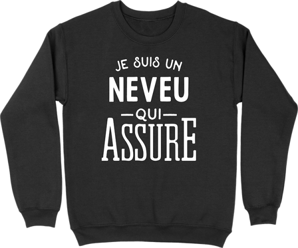 Pull homme je suis un neveu qui assure