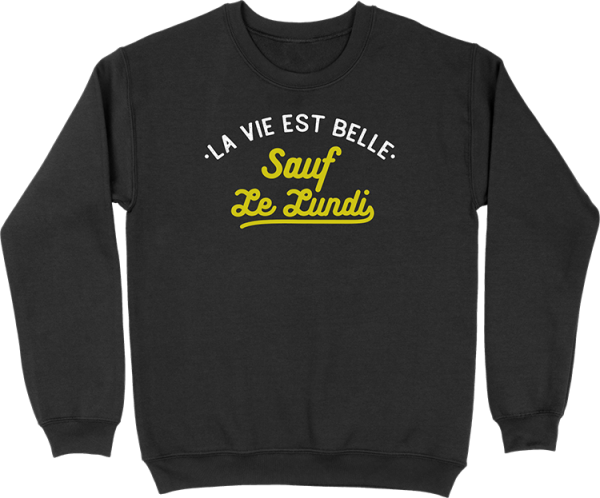 Pull homme la vie est belle