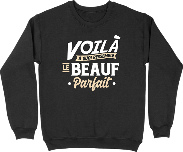 Pull homme le beauf parfait