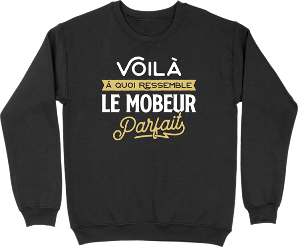 Pull homme le mobeur parfait