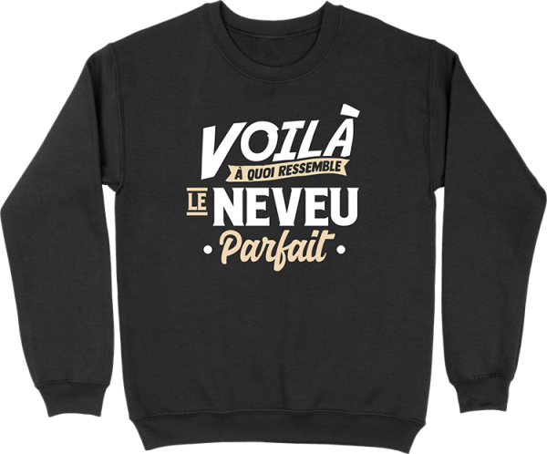 Pull homme le neveu parfait