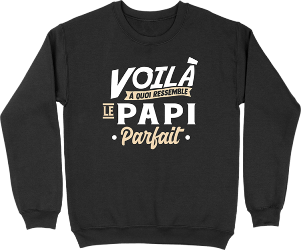 Pull homme le papi parfait