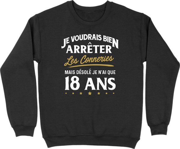 Pull homme les conneries a 18 ans