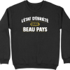Pull homme l&rsquo;etat d&rsquo;ebriete