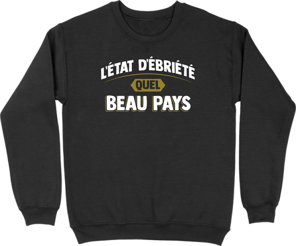 Pull homme l’etat d’ebriete