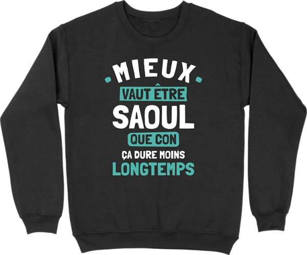 Pull homme mieux vaut etre saoul que con