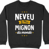 Pull homme neveu le plus mignon