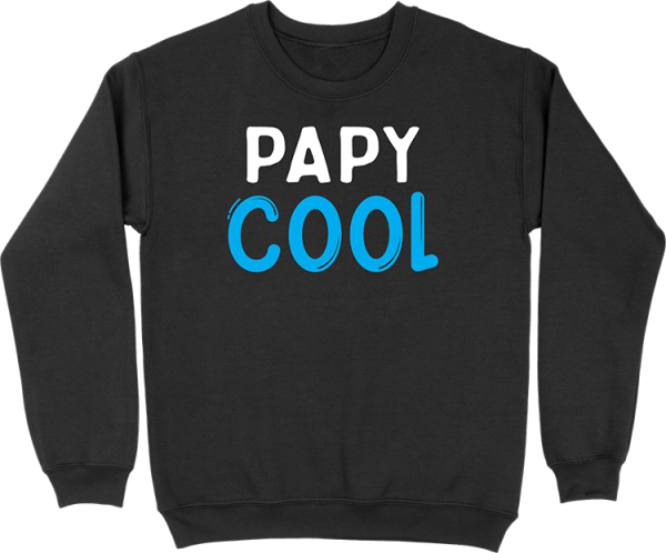 Pull homme papy cool