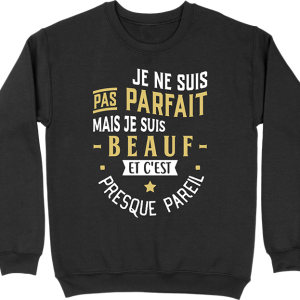Pull homme pas parfait mais beauf Pull homme pas parfait mais beauf