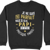 Pull homme pas parfait papi