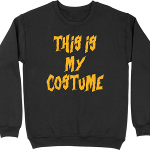 Pull homme this is my costume Pull homme this is my costume