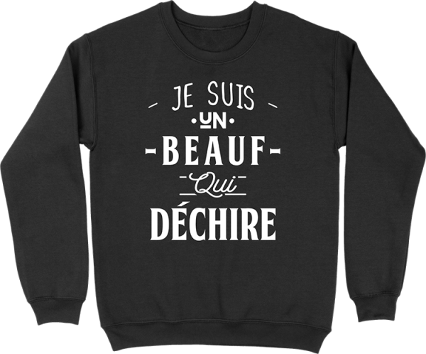 Pull homme un beauf qui dechire