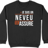 Pull homme un neveu qui assure